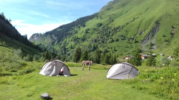 Randonnée 3 jours avec un âne