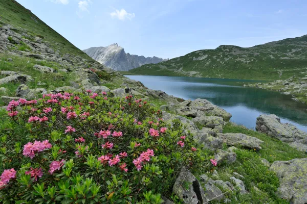 Le lac Jovet, au coeur de la Réserve Naurelle des Contamines