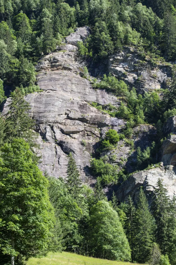 Rocher d'escalade de la Duchere