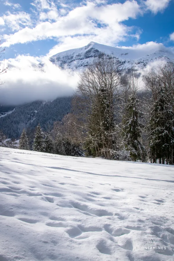 Vue sur le Mont Joly depuis une clairière enneigée