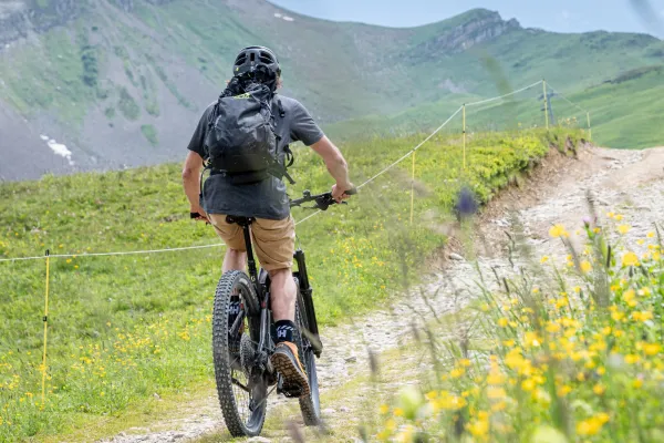 Sortie VTT encadrée avec Alley Oop et Mathias Ruiz, moniteur de vélo