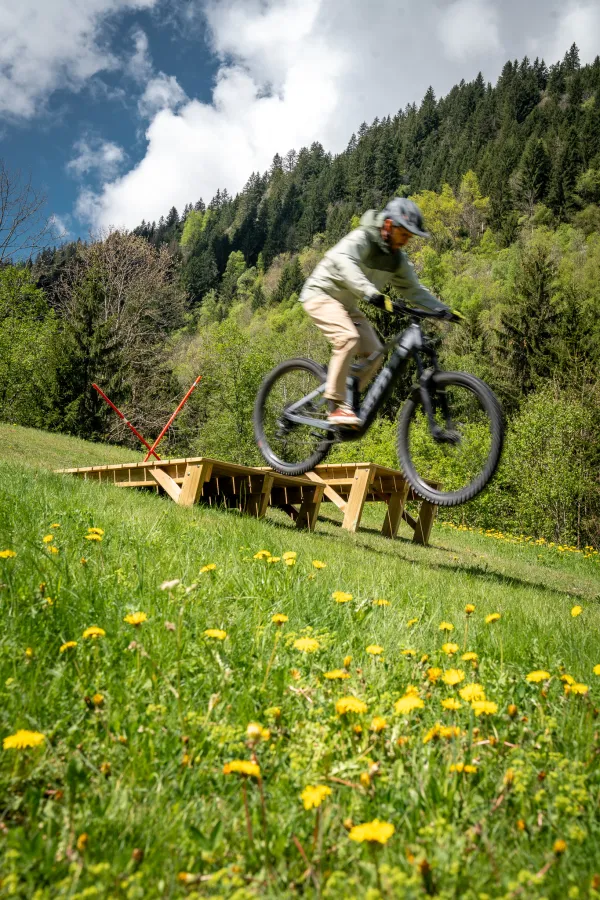 Module du Bike Park
