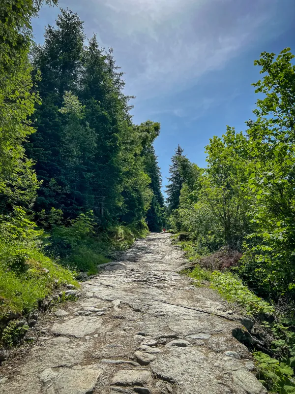 Voie romaine aux Contamines Montjoie