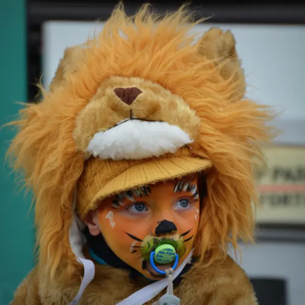 Carnaval de l'APE