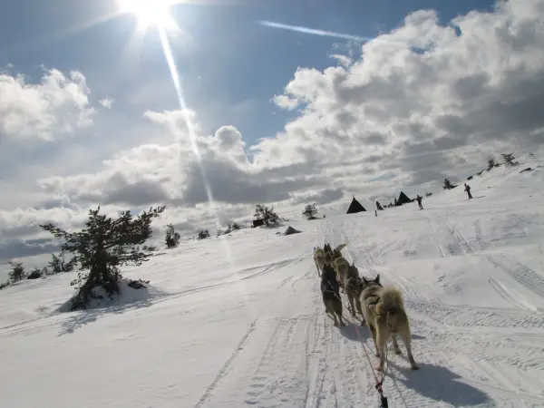Balade en chiens de traîneau - Huskydalen