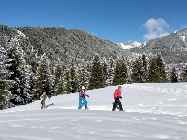 Balade raquettes sous le soleil