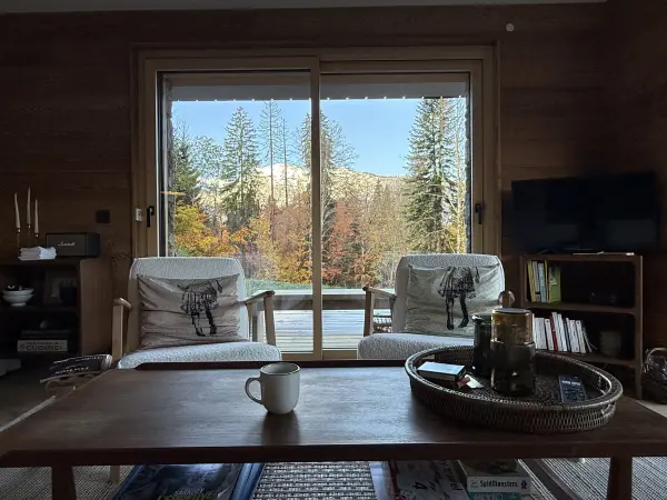 Salon vue automne