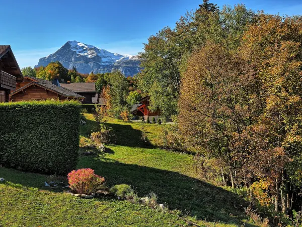Le jardin