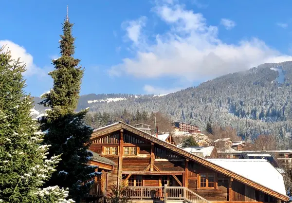 Appartement dans chalet - 6 personnes - Chez Zéline