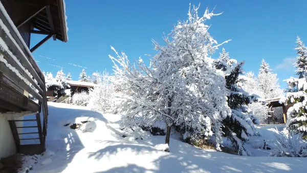 Appartement dans chalet - 7 personnes - partie droite