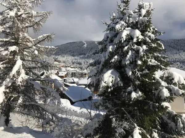 Appartement dans chalet - 7 personnes - partie droite