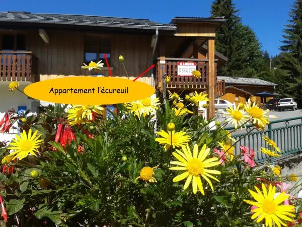 Appartement dans chalet 6/8 personnes - L'Écureuil