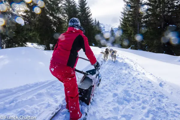 Conduite d'un attelage de chiens de traîneaux - Évasion Nordique 74