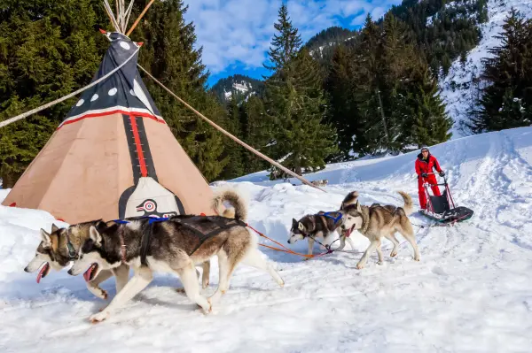 Conduite d'un attelage de chiens de traîneaux - Évasion Nordique 74