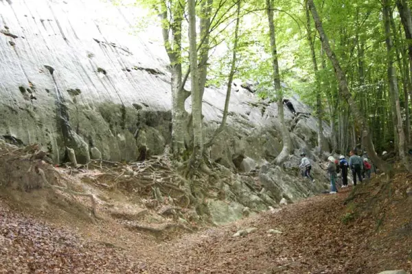 Dalle de la Frasse