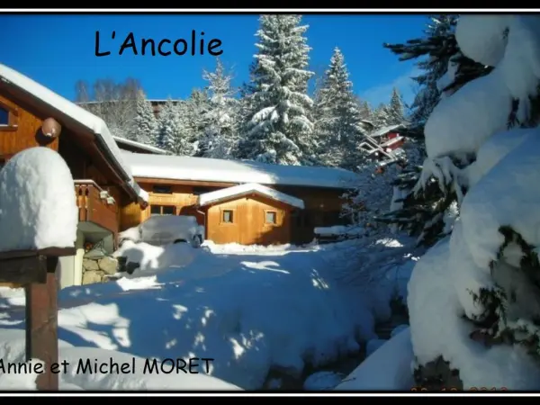 Vue du demi chalet depuis la route principale