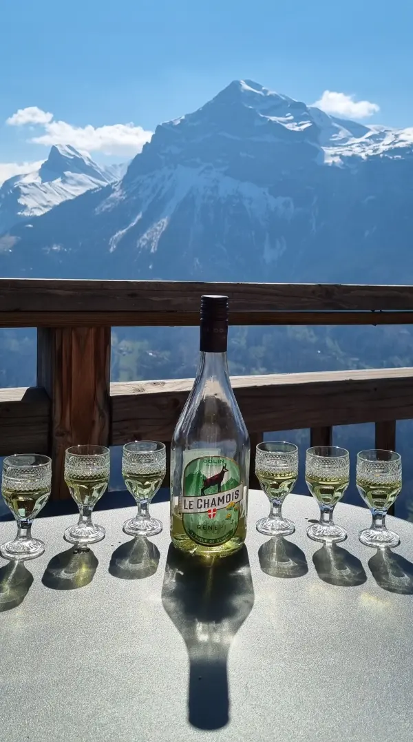 Chalet 19 personnes - Arpitan