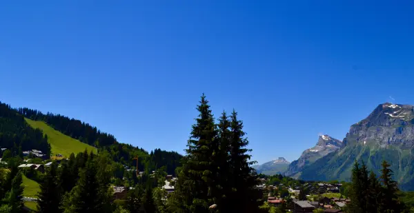 Vue été