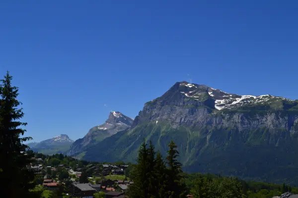 Vue été