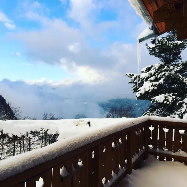 Chalet Calluna