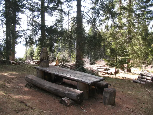 tables de pique-nique après Col de Cou direction Plaine Joux