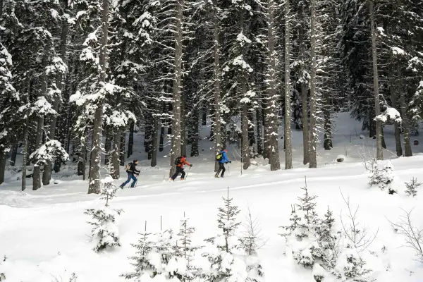 Itinéraire ski de randonnée