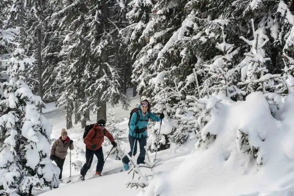 Itinéraire ski de randonnée