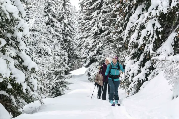 Itinéraire ski de randonnée