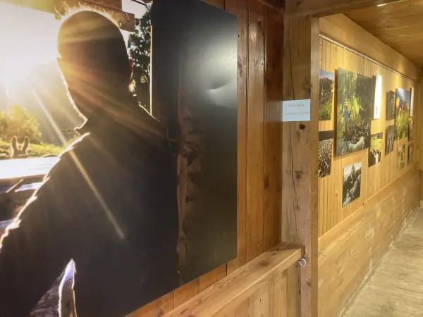 La Maison du patrimoine: exposition "Là-haut"