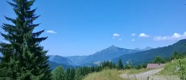Panorama