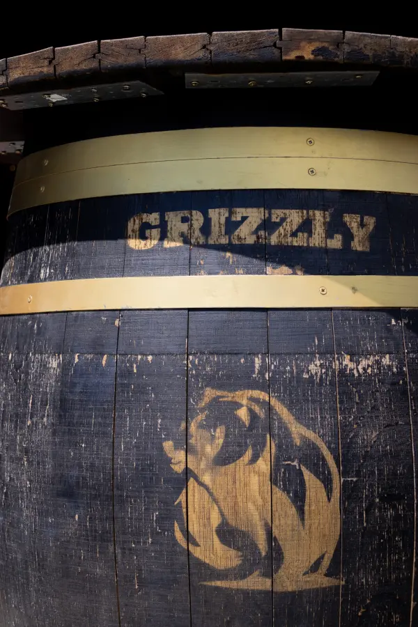 Le Grizzly_Les Carroz-d'Arâches