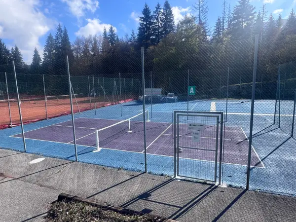 Terrain de Pickleball_Les Carroz-d'Arâches