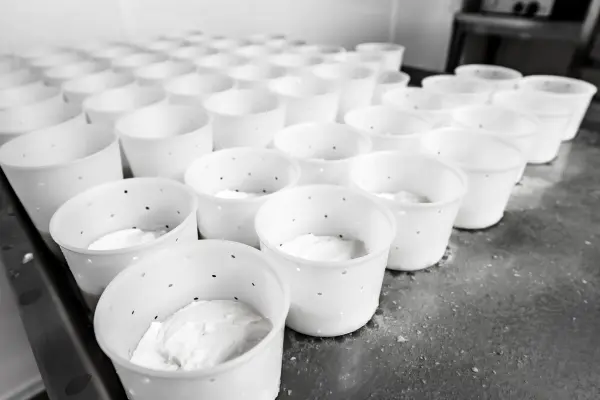 Les fromages dans leur faisselle