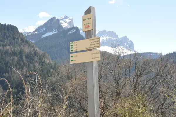 Départ du sentier
