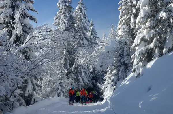 Randonnées Raquettes en petits groupes - Montagne Activités
