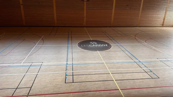 Salle du Mont Favy_Les Carroz-d'Arâches