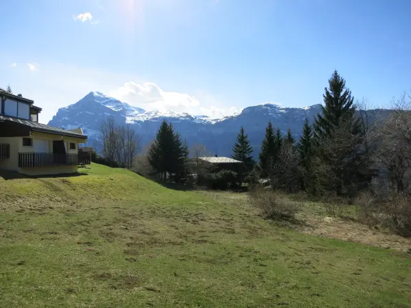Vue depuis l'appartement
