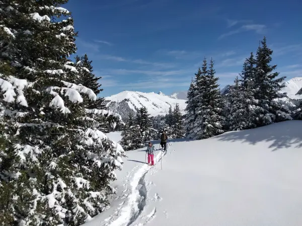 Balade raquettes dans la poudreuse