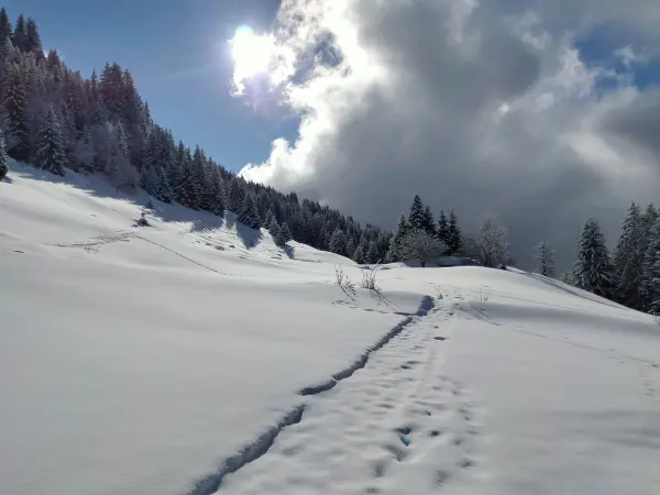 Paysage sous le soleil et la neige