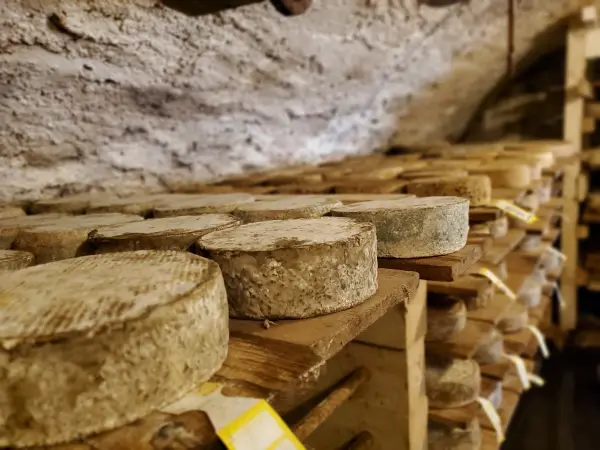 Vente de fromages à la ferme à Ballancy