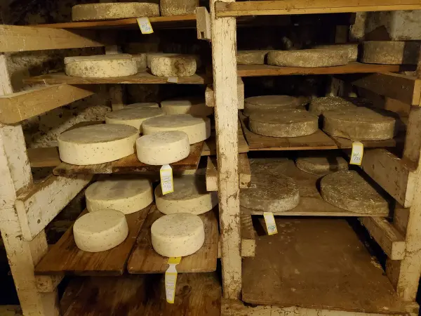Vente de fromages à la ferme à Ballancy