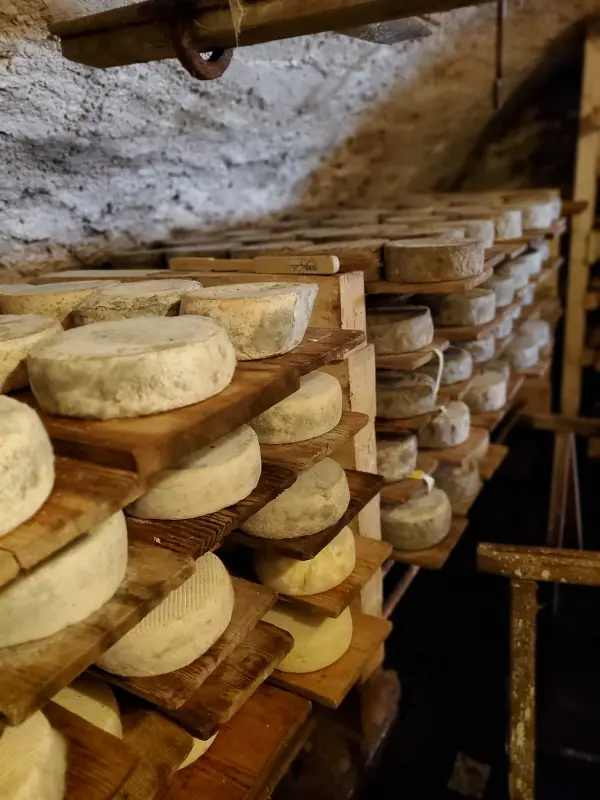 Vente de fromages à la ferme à Ballancy