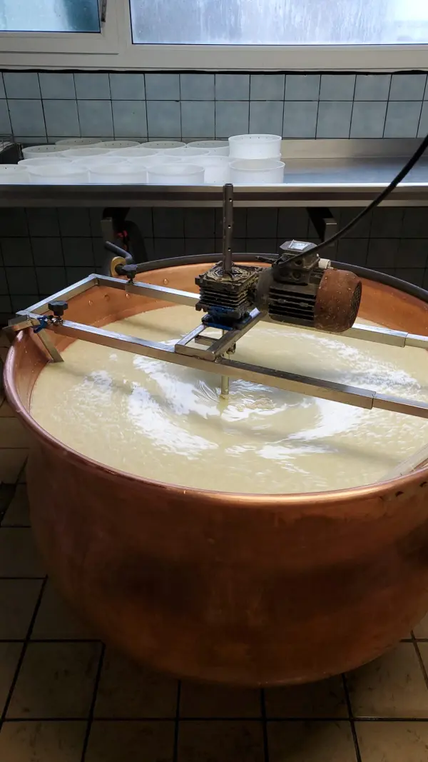 Vente de fromages à la ferme à Ballancy