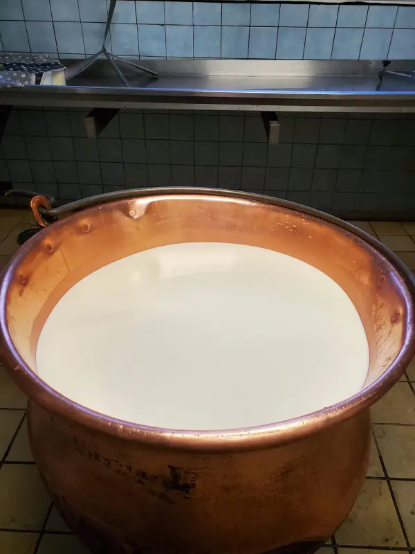 Vente de fromages à la ferme à Ballancy