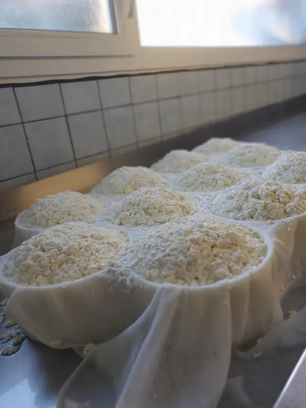 Vente de fromages à la ferme à Ballancy