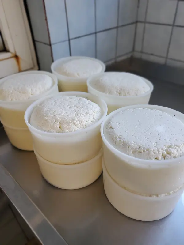 Vente de fromages à la ferme à Ballancy