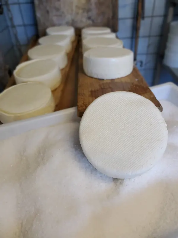 Vente de fromages à la ferme à Ballancy