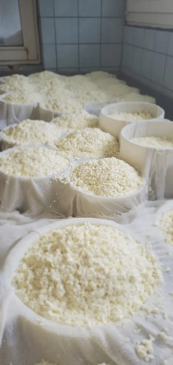 Vente de fromages à la ferme à Ballancy