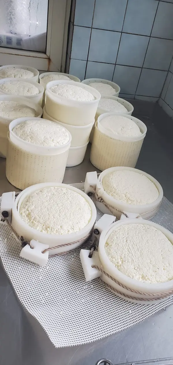 Vente de fromages à la ferme à Ballancy