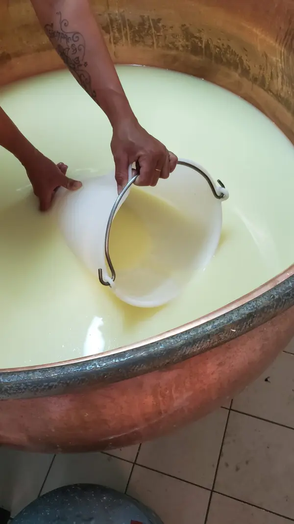 Vente de fromages à la ferme à Ballancy